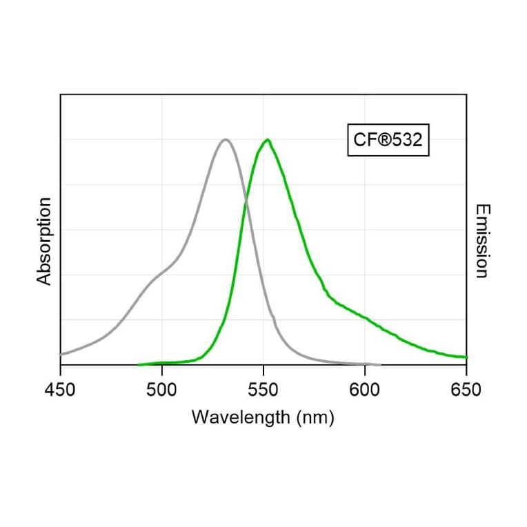 CF®532 - Goat Anti-Rabbit IgG H&L Antibody (CF®532) (A343851) -Antibodies.com
