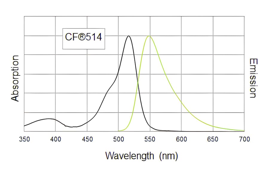 CF®514 - Goat Anti-Rabbit IgG H&L Antibody (CF®514) (A343872) -Antibodies.com