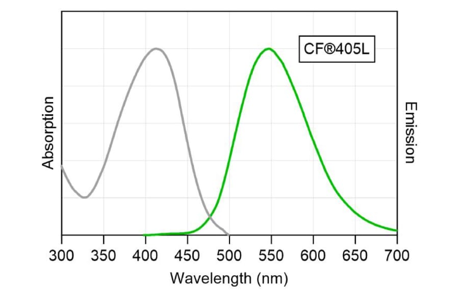 CF®405L - Goat Anti-Mouse IgG H&L Antibody (CF®405L) (A343886) -Antibodies.com