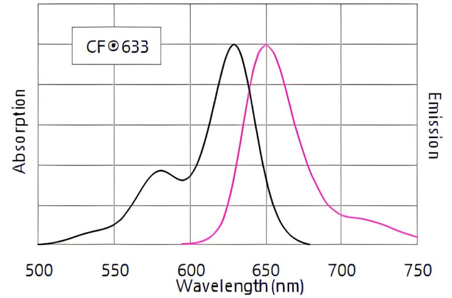 CF®633 - Goat Anti-Human IgA Antibody (CF®633) (A343899) -Antibodies.com