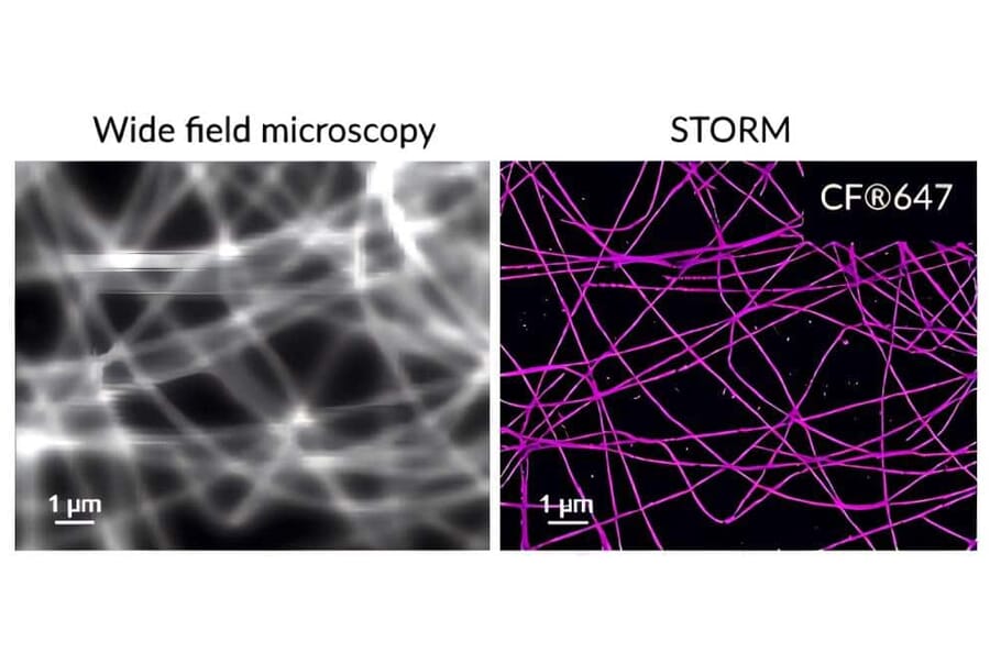CF®647 - Goat Anti-Human IgG Fc Antibody (CF®647), Cross-Adsorbed (A343908) -Antibodies.com