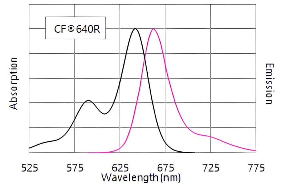 CF®640R - Llama Anti-Mouse IgG H&L Antibody (CF®640R) (A343917) -Antibodies.com
