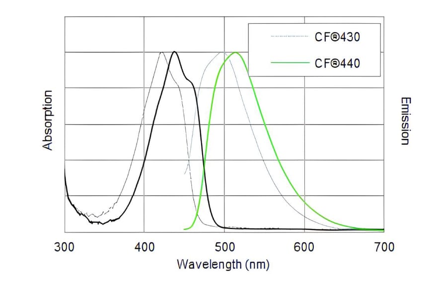 CF®430 - Goat Anti-Rabbit IgG H&L Antibody (CF®430), Cross-Adsorbed (A343920) -Antibodies.com