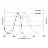 CF®430 - Donkey Anti-Mouse IgG H&L Antibody (CF®430), Cross-Adsorbed (A343921) -Antibodies.com