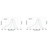 CF®770 - Donkey Anti-Rabbit IgG H&L Antibody (CF®770), Cross-Adsorbed (A343937) -Antibodies.com