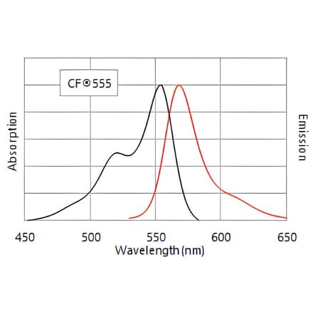 CF®555 - Goat Anti-Guinea Pig IgG H&L Antibody (CF®555) - Highly Cross-Adsorbed (A343943) -Antibodies.com