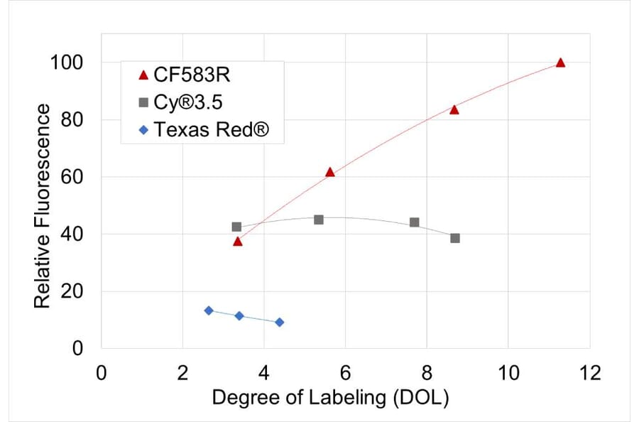 CF®583R - Donkey Anti-Rabbit IgG H&L Antibody (CF®583R), Cross-Adsorbed (A343958) -Antibodies.com