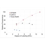 CF®583R - Donkey Anti-Rabbit IgG H&L Antibody (CF®583R), Cross-Adsorbed (A343958) -Antibodies.com