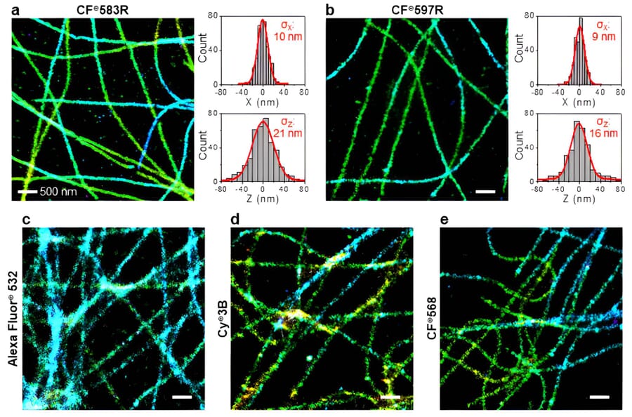 CF®597R - Goat Anti-Mouse IgG H&L Antibody (CF®597R), Cross-Adsorbed (A343959) -Antibodies.com