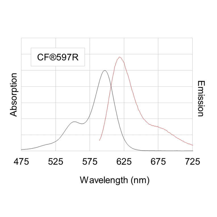 CF®597R - Goat Anti-Mouse IgG H&L Antibody (CF®597R), Cross-Adsorbed (A343959) -Antibodies.com