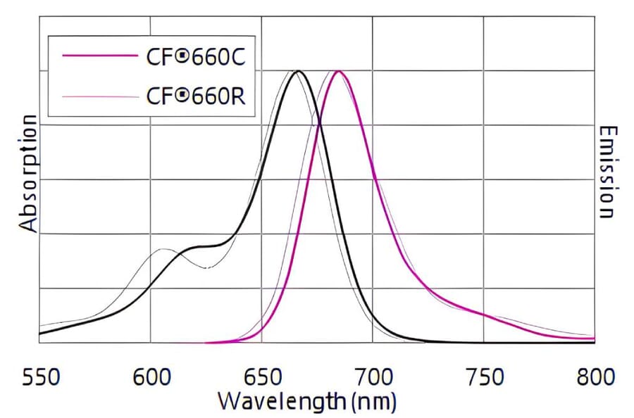 CF®660C - Goat Anti-Rabbit IgG H&L Antibody (CF®660C), Cross-Adsorbed (A343972) -Antibodies.com