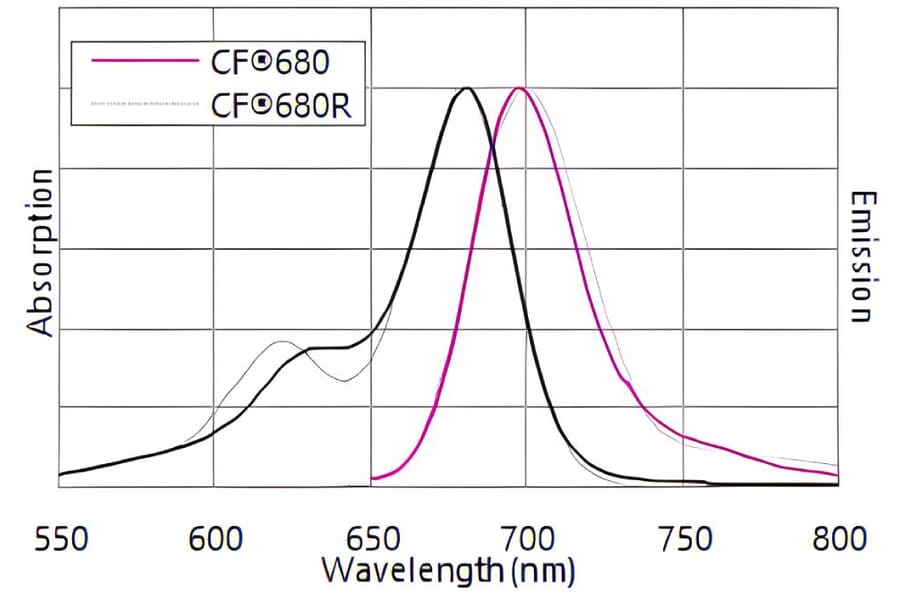 CF®680 - Donkey Anti-Rabbit IgG H&L Antibody (CF®680), Cross-Adsorbed (A343978) -Antibodies.com