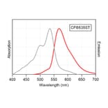 CF®535ST - Donkey Anti-Mouse IgG H&L Antibody (CF®535ST), Cross-Adsorbed (A343981) -Antibodies.com