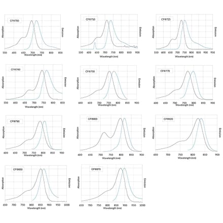 CF®800 - Donkey Anti-Mouse IgG H&L Antibody (CF®800) - Highly Cross-Adsorbed (A343993) -Antibodies.com