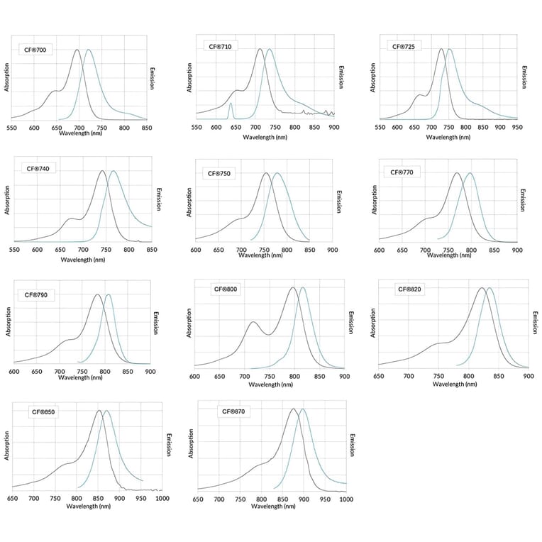 CF®800 - Donkey Anti-Mouse IgG H&L Antibody (CF®800), Cross-Adsorbed (A343993) -Antibodies.com