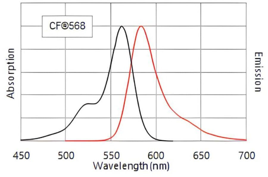 CF®568 - Donkey Anti-Goat IgG H&L Antibody (CF®568), Cross-Adsorbed (A343994) -Antibodies.com