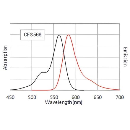CF®568 - Donkey Anti-Guinea Pig IgG H&L Antibody (CF®568) - Highly Cross-Adsorbed (A343996) -Antibodies.com