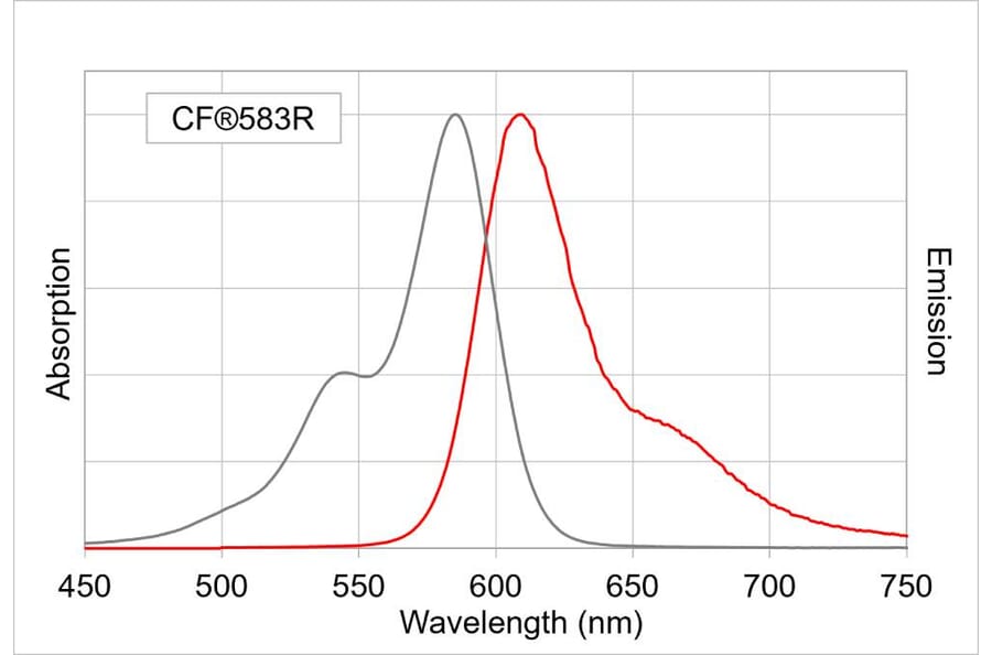 CF®583R - Donkey Anti-Guinea Pig IgG H&L Antibody (CF®583R), Cross-Adsorbed (A344050) -Antibodies.com