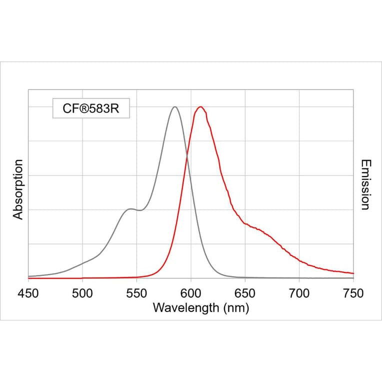 CF®583R - Donkey Anti-Guinea Pig IgG H&L Antibody (CF®583R), Cross-Adsorbed (A344050) -Antibodies.com