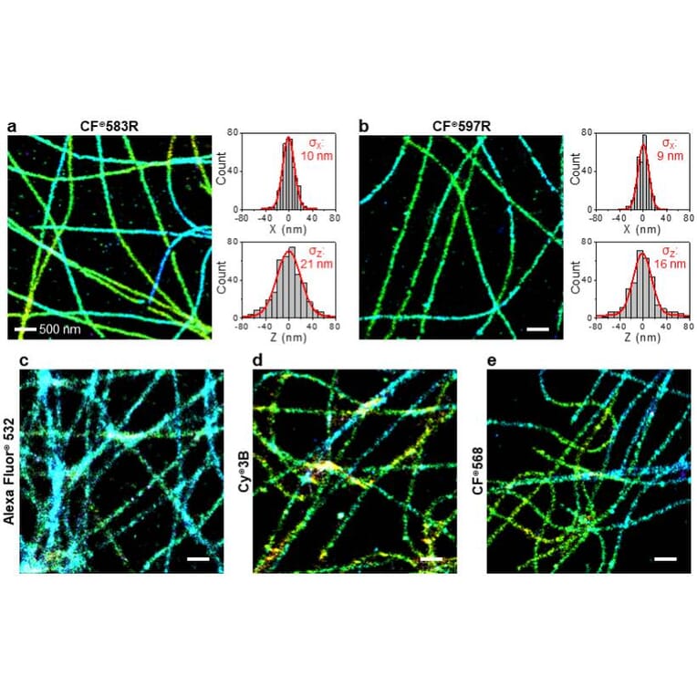 CF®583R - Llama Anti-Rabbit IgG H&L Antibody (CF®583R) (A344066) -Antibodies.com