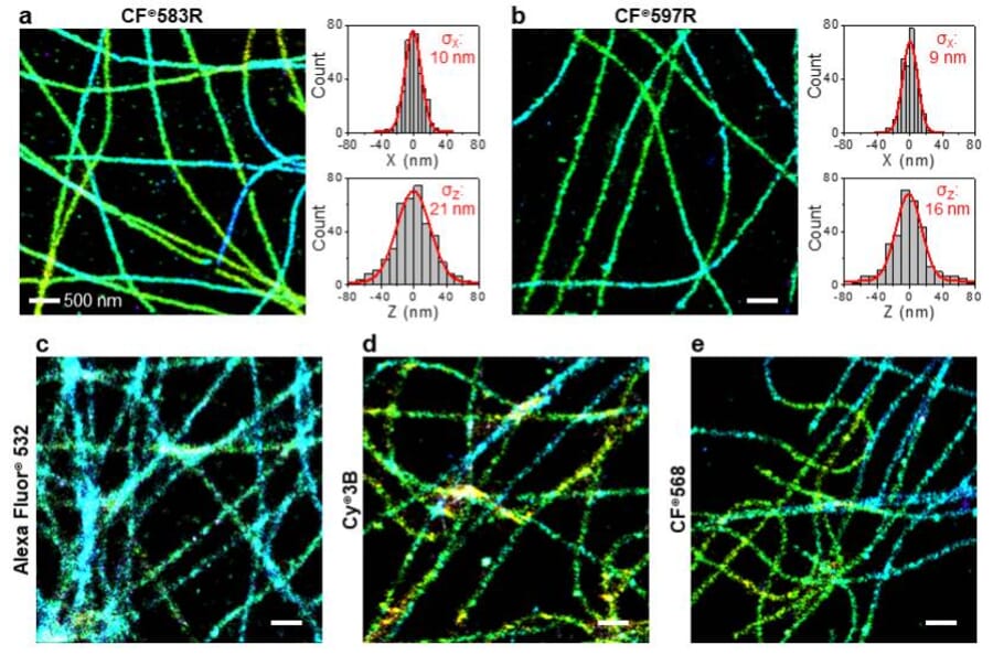 CF®583R - Rabbit Anti-Mouse IgG H&L Antibody (CF®583R), Cross-Adsorbed (A344068) -Antibodies.com