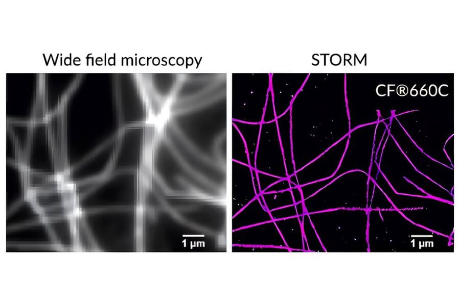 CF®660C - Goat F(ab')2 Anti-Rabbit IgG H&L Antibody (CF®660C) (A344074) -Antibodies.com