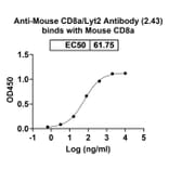 Bioactivity-Binding - Anti-CD8 alpha Antibody [2.43] - BSA and Azide free (A344110) - Antibodies.com