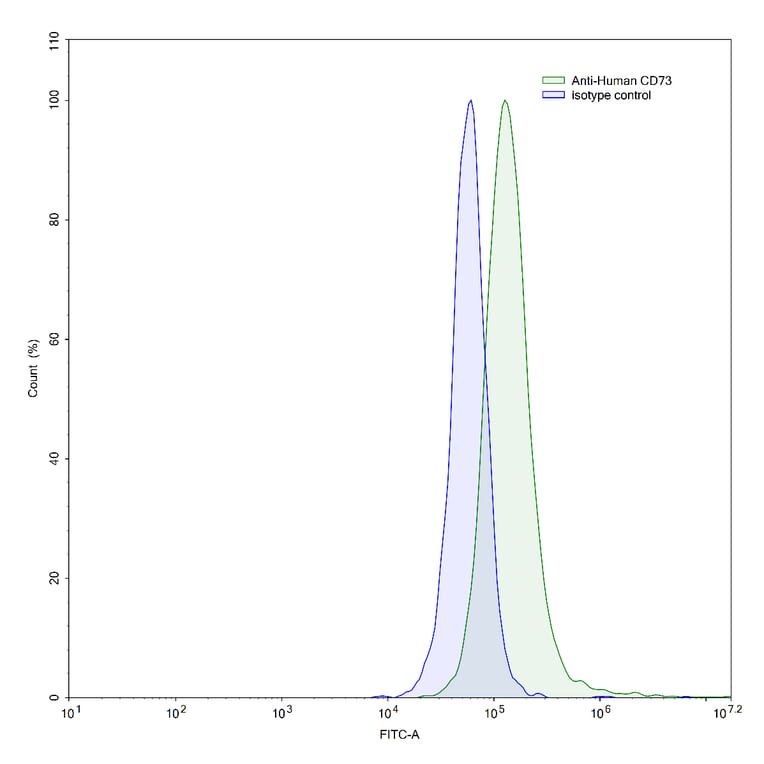 Flow Cytometry - Anti-CD73 Antibody [SAA0032] - BSA and Azide free (A344113) - Antibodies.com
