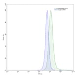 Flow Cytometry - Anti-CD73 Antibody [SAA0032] - BSA and Azide free (A344113) - Antibodies.com