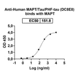 Bioactivity-Binding - Anti-Tau Antibody [DC8E8] - BSA and Azide free (A344145) - Antibodies.com