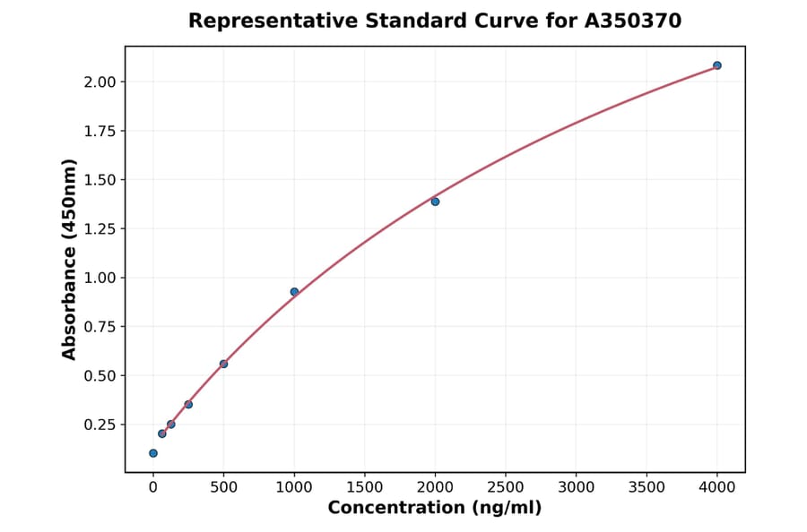 Standard Curve - Human MMP12 ELISA Kit (A350370) - Antibodies.com