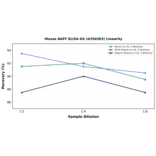 Linearity - Mouse BAFF ELISA Kit (A350383) - Antibodies.com
