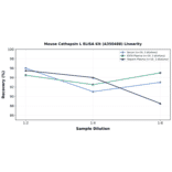 Linearity - Mouse Cathepsin L ELISA Kit (A350488) - Antibodies.com