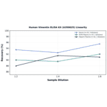 Linearity - Human Vimentin ELISA Kit (A350625) - Antibodies.com