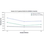 Linearity - Human 14-3-3 gamma ELISA Kit (A350641) - Antibodies.com