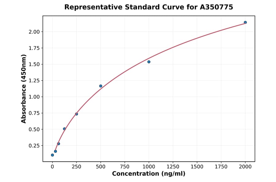 Standard Curve - Rat MUC5AC ELISA Kit (A350775) - Antibodies.com