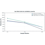 Linearity - Rat PDK4 ELISA Kit (A350826) - Antibodies.com