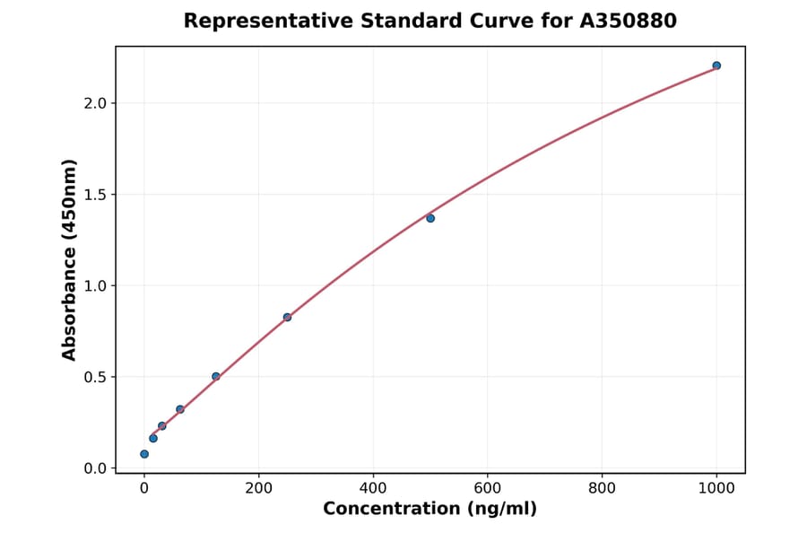 Standard Curve - Rat Sestrin 2 ELISA Kit (A350880) - Antibodies.com
