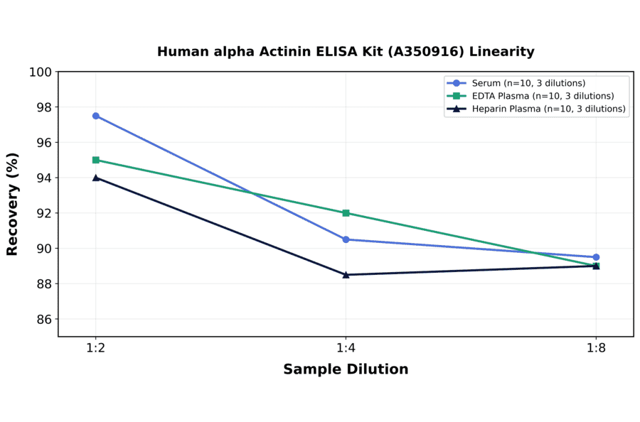 Linearity - Human alpha Actinin ELISA Kit (A350916) - Antibodies.com