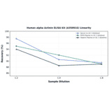 Linearity - Human alpha Actinin ELISA Kit (A350916) - Antibodies.com
