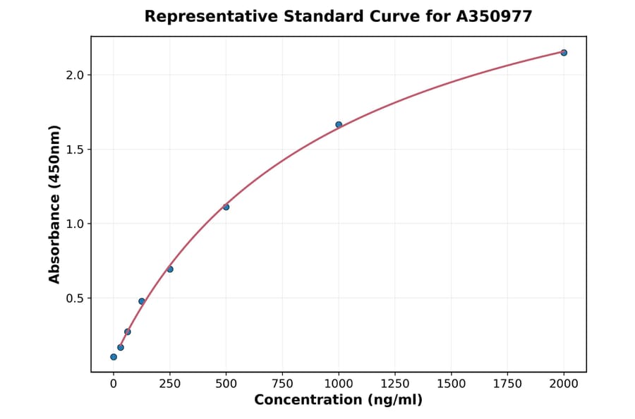 Standard Curve - Sheep TIMP1 ELISA Kit (A350977) - Antibodies.com