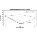 Linearity - Human MUC5AC ELISA Kit (A351752) - Antibodies.com