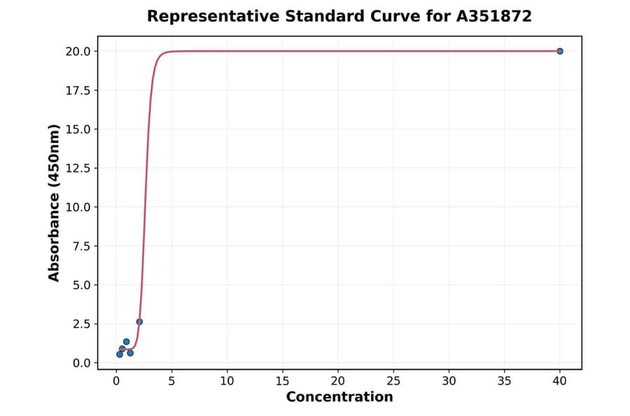 Standard Curve - Sheep Testosterone ELISA Kit (A351872) - Antibodies.com