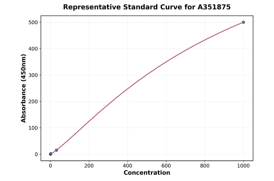 Standard Curve - Rabbit Estradiol ELISA Kit (A351875) - Antibodies.com