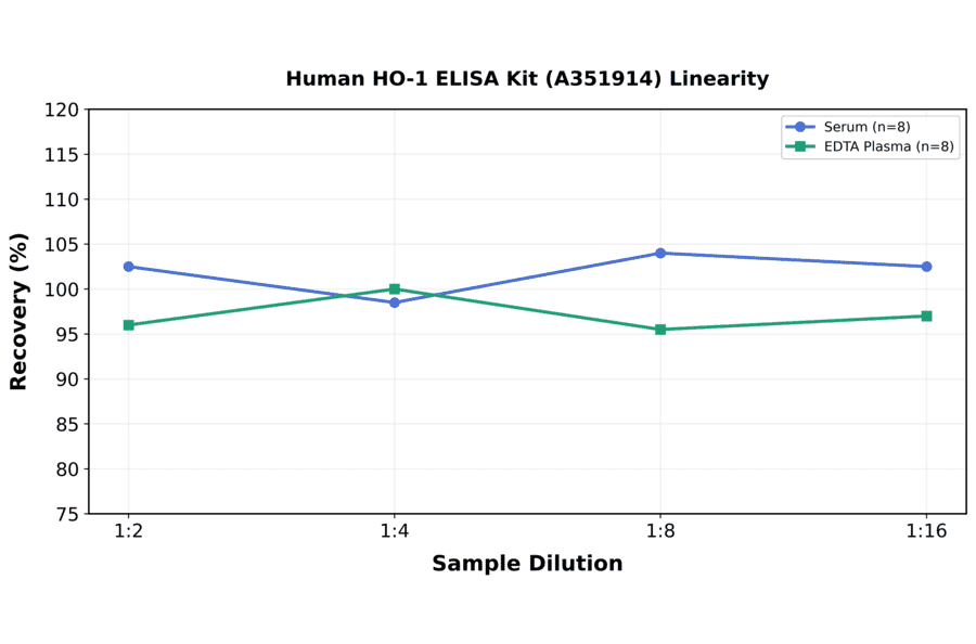 Linearity - Human HO-1 ELISA Kit (A351914) - Antibodies.com