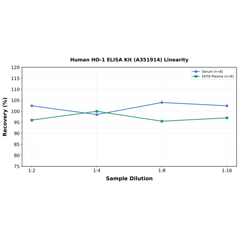 Linearity - Human HO-1 ELISA Kit (A351914) - Antibodies.com