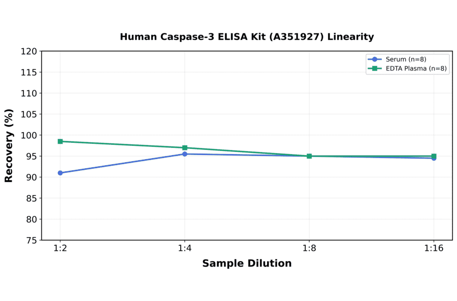 Linearity - Human Caspase-3 ELISA Kit (A351927) - Antibodies.com