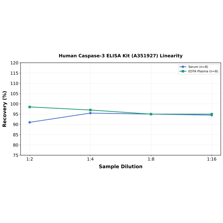 Linearity - Human Caspase-3 ELISA Kit (A351927) - Antibodies.com