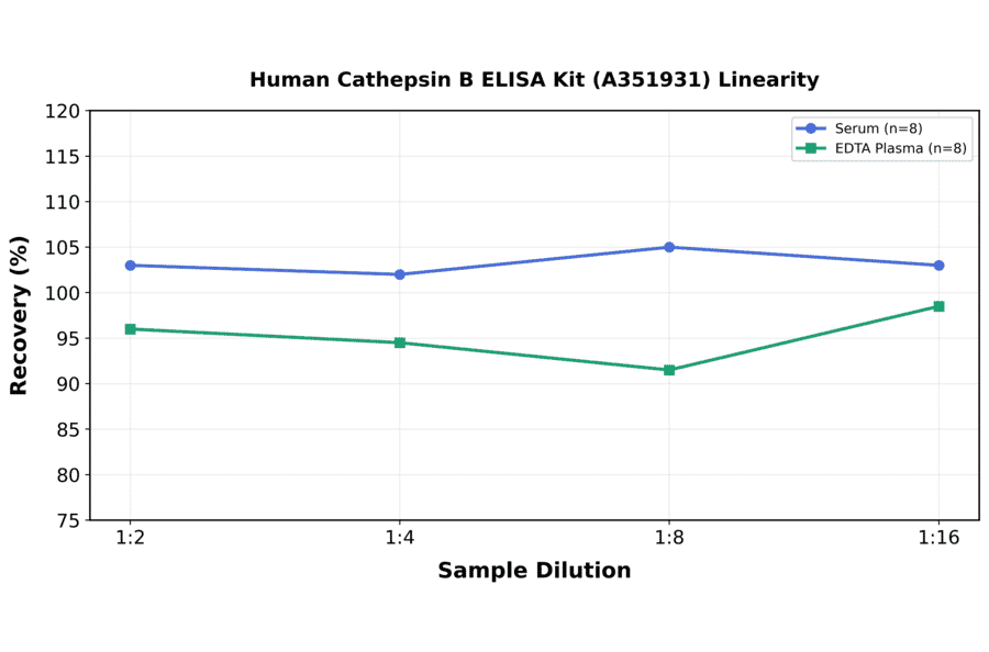 Linearity - Human Cathepsin B ELISA Kit (A351931) - Antibodies.com