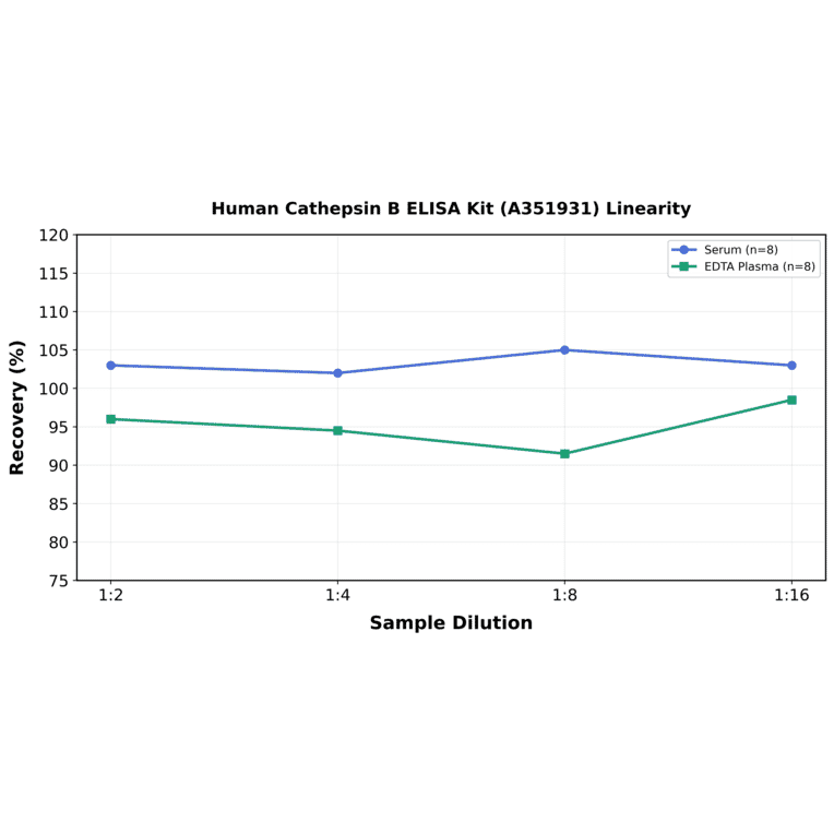 Linearity - Human Cathepsin B ELISA Kit (A351931) - Antibodies.com